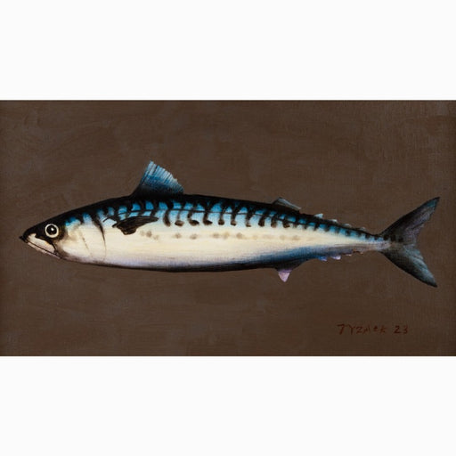 Mackerel XXVII by Andrew Tyzack | Contemporary Painting for sale at The Biscuit Factory Newcastle