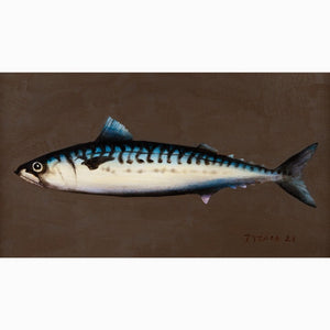 You added <b><u>Mackerel XXVII</u></b> to your cart.