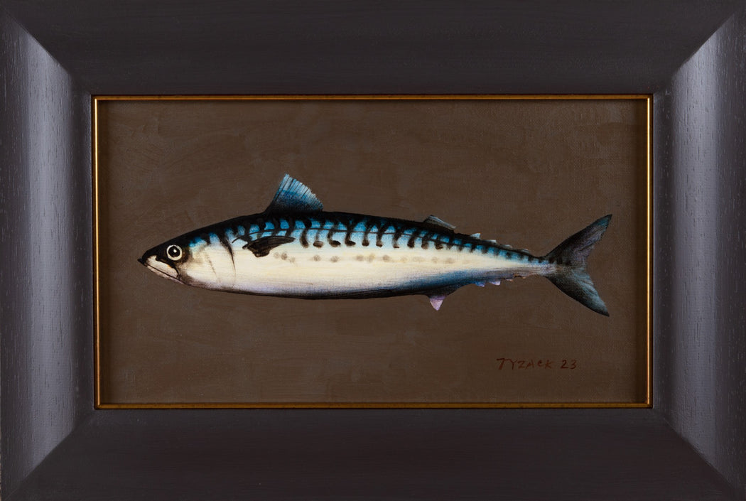 Mackerel XXVII by Andrew Tyzack | Contemporary Painting for sale at The Biscuit Factory Newcastle 