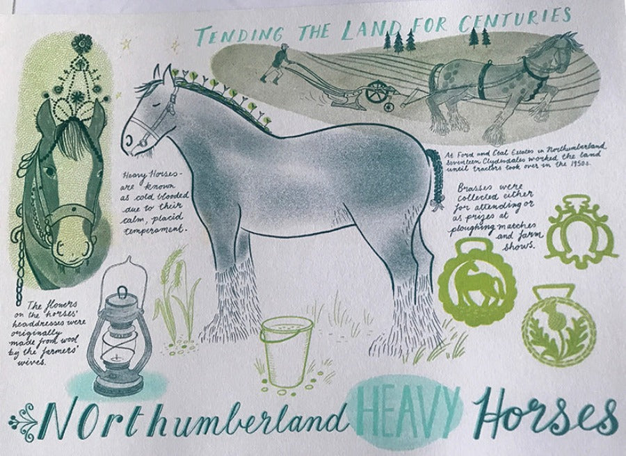 Northumberland Heavy Horse by Trina Dalziel | Contemporary Prints for sale at The Biscuit Factory Newcastle