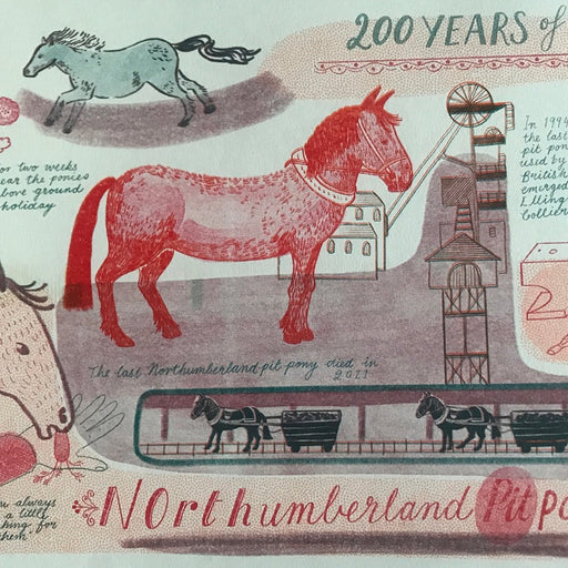Northumberland Pit Pony by Trina Dalziel | Contemporary Prints for sale at The Biscuit Factory Newcastle 