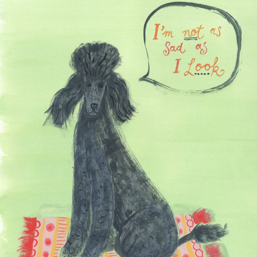 Poodle on a rug by Trina Dalziel | Contemporary Painting for sale at The Biscuit Factory Newcastle 
