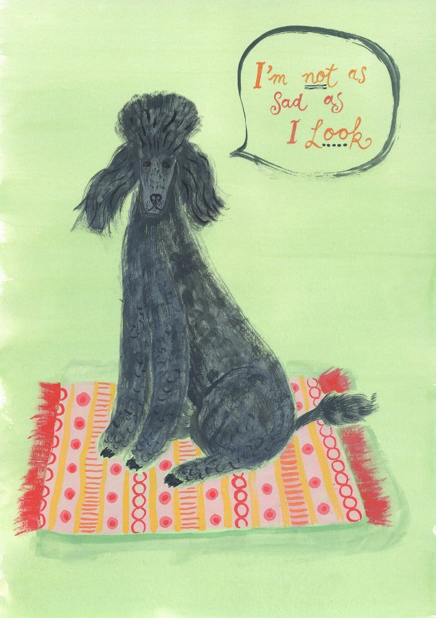 Poodle on a rug by Trina Dalziel | Contemporary Painting for sale at The Biscuit Factory Newcastle