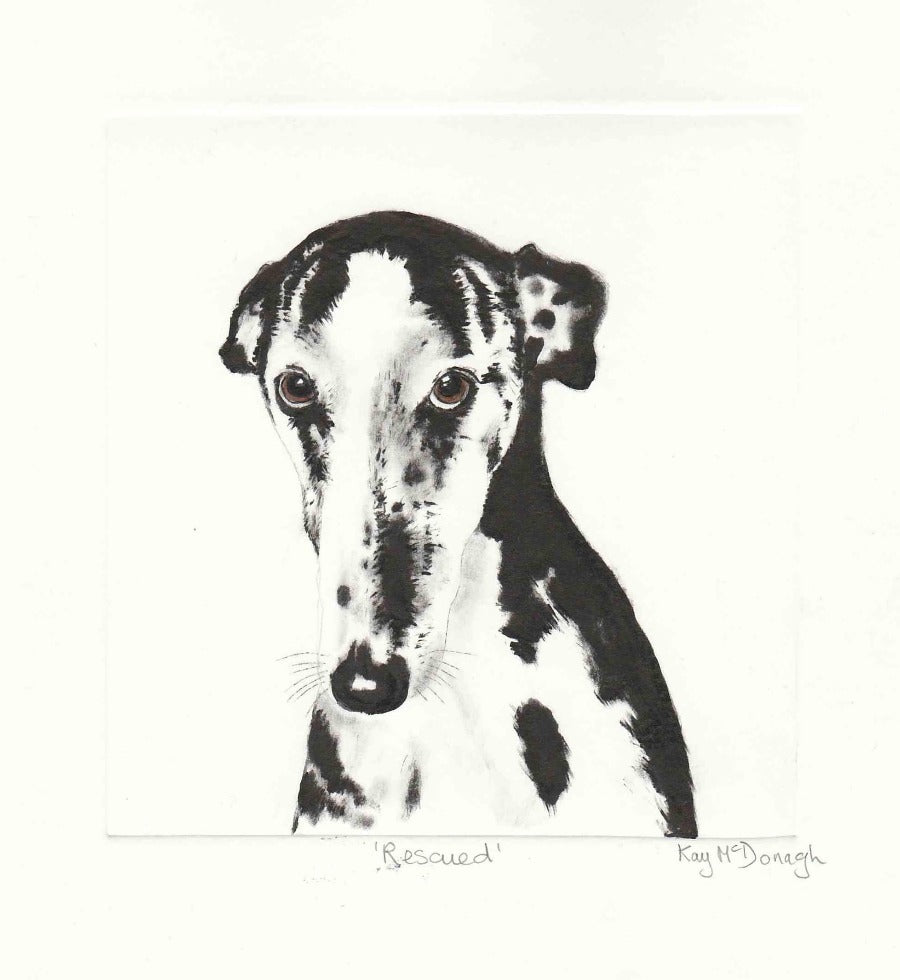 Rescued by Kay McDonagh | Contemporary etching print for sale at The Biscuit Factory Newcasle