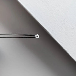 You added <b><u>Starflower Earstuds</u></b> to your cart.