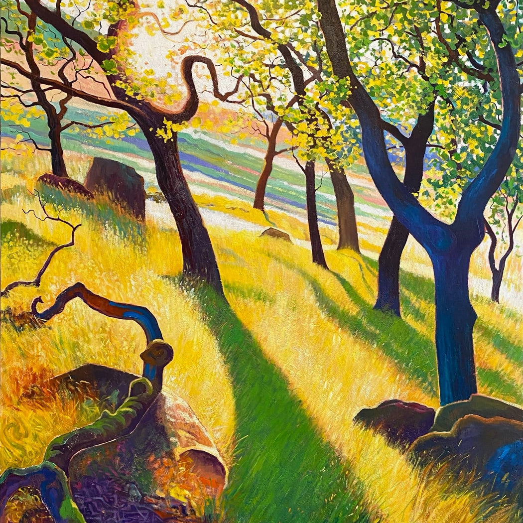 Sun Trees