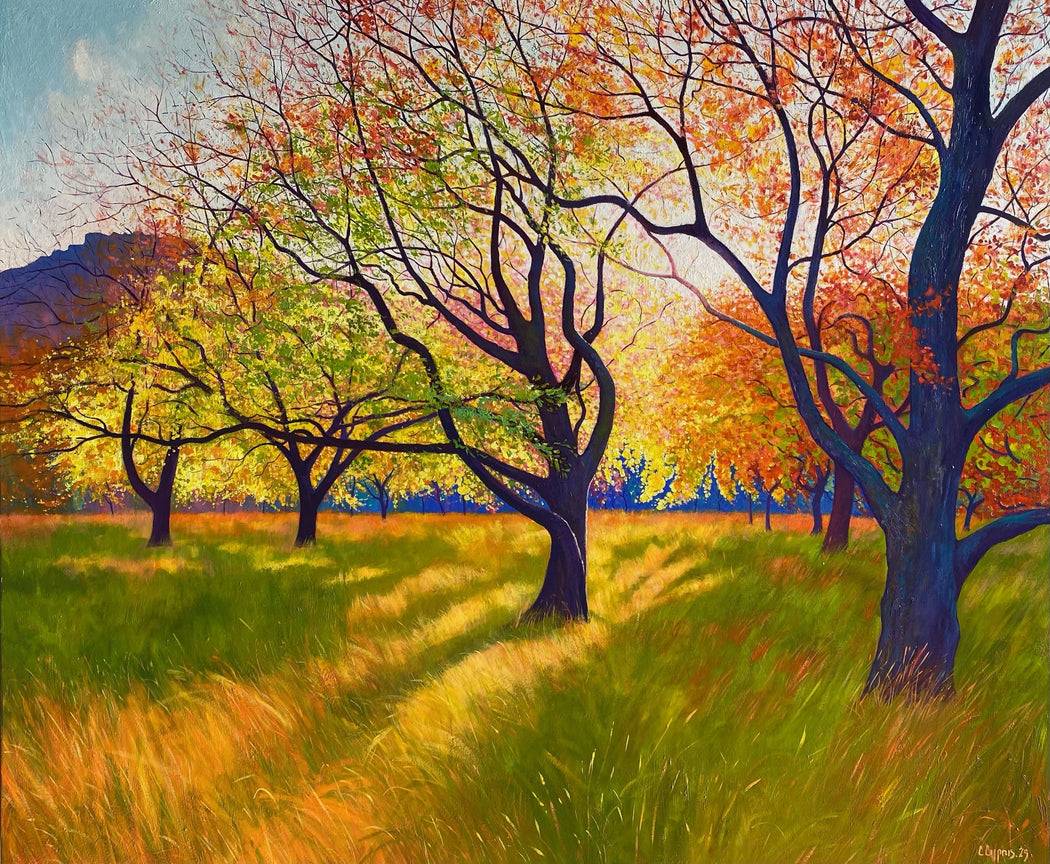 The Long Grass