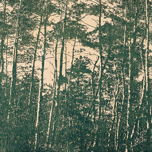 You added <b><u>Whispering Canopy</u></b> to your cart.
