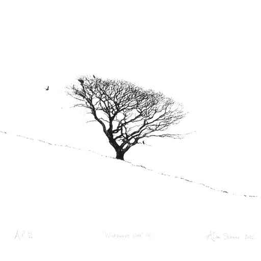Windswept Oak II by Alan Stones | Contemporary Lithography for sale at The Biscuit Factory Newcastle 