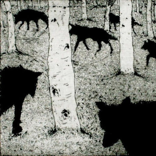 Wolves in the Wood by Tim Southall | Contemporary Etching Print for sale at The Biscuit Factory 