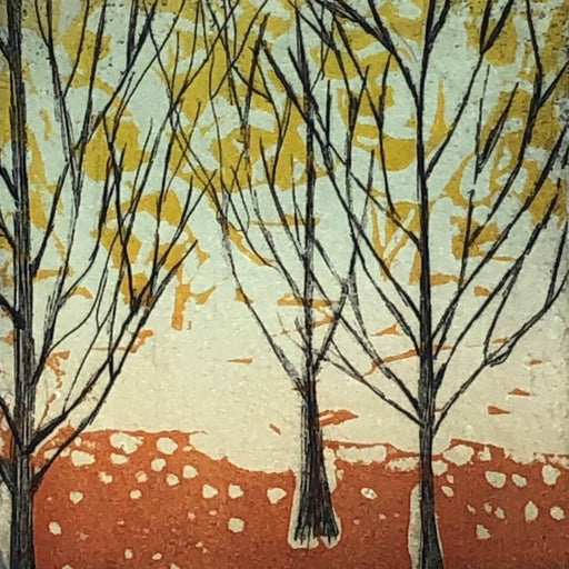 Woodland by Catherine Williams | Contemporary Prints available at The Biscuit Factory Newcastle 