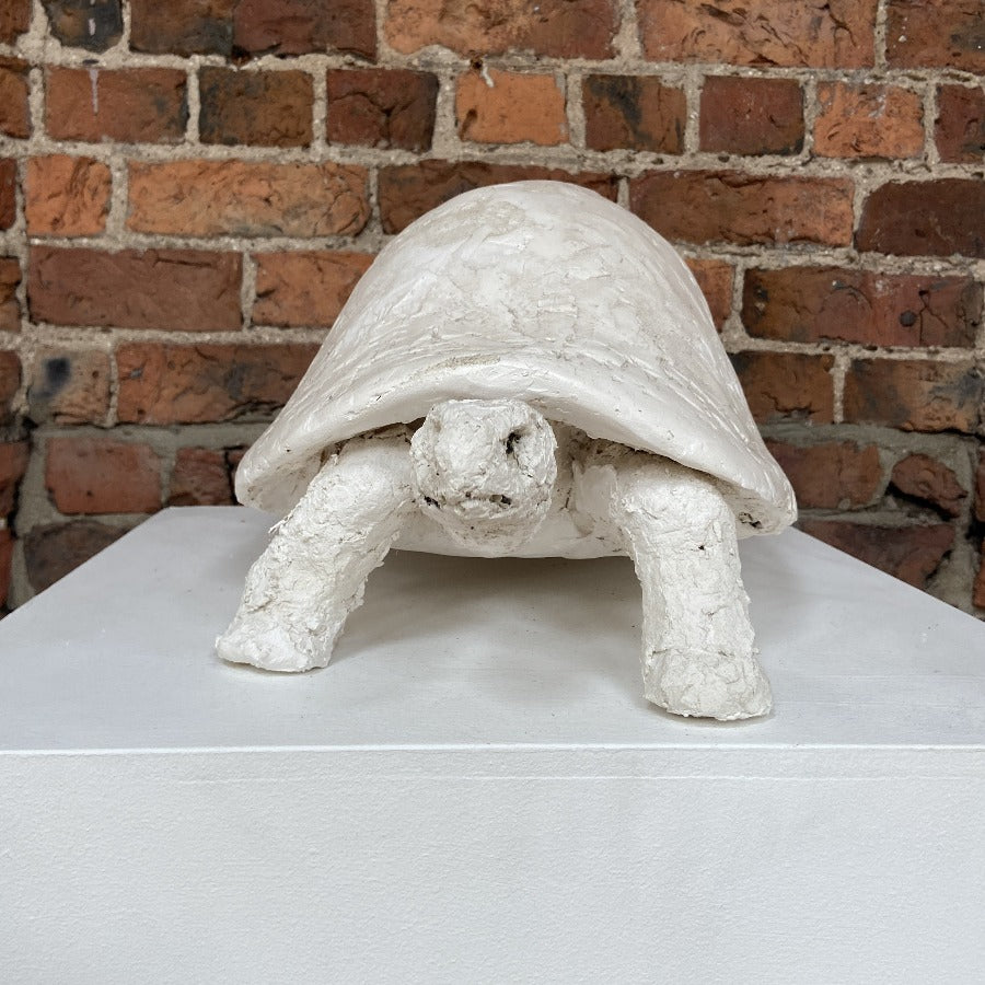 Buy 'Tortoise' original mixed media handmade sculpture by Zoe Robinson online at The Biscuit Factory. Image shows a white mixed media sculpture of a tortoise displayed on a plinth against a brick wall.'