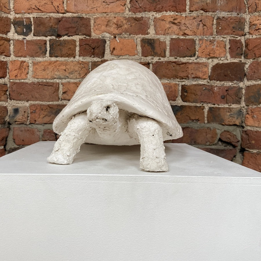 'Buy 'Tortoise' original mixed media handmade sculpture by Zoe Robinson online at The Biscuit Factory. Image shows a white mixed media sculpture of a tortoise displayed on a plinth against a brick wall.'