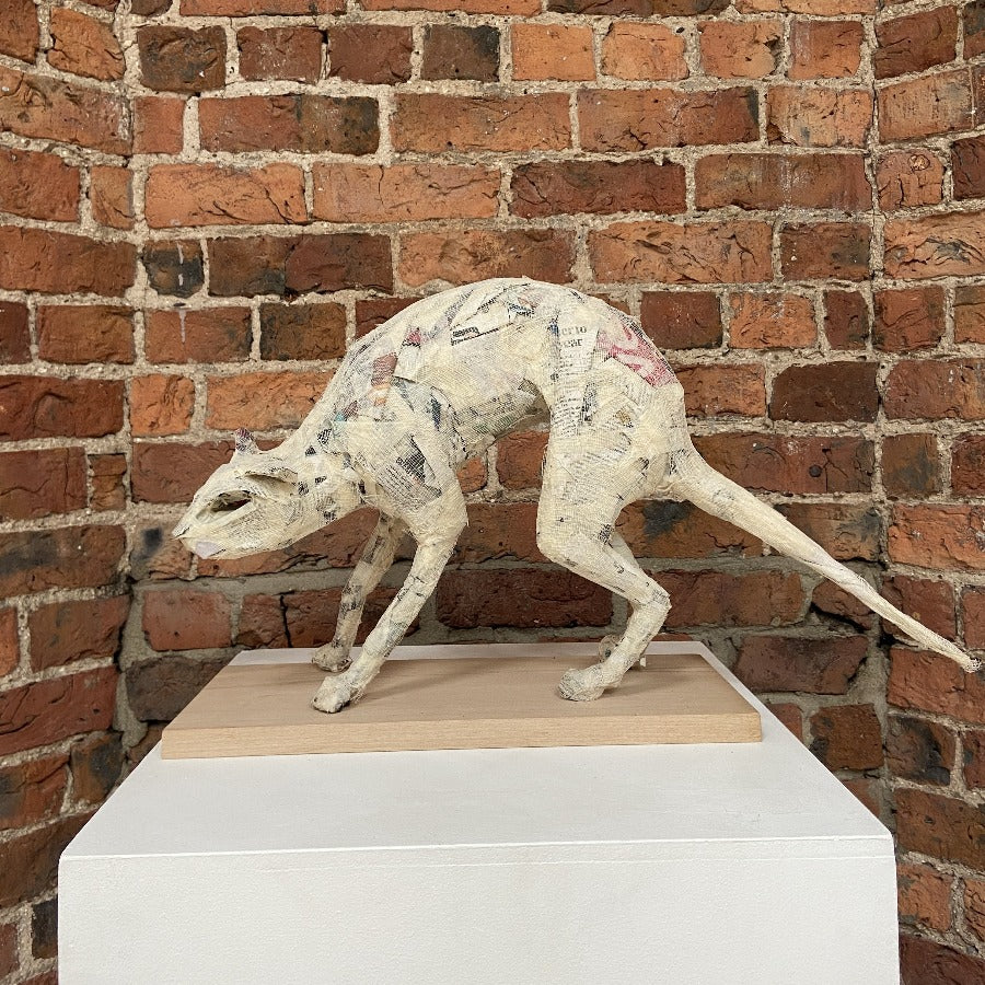Buy 'Cat' original handmade mixed media sculpture by Zoe Robinson online at the Biscuit Factory. Image shows a mixed media sculpture of a Cat displayed on a plinth against a brick wall. The cat is white.