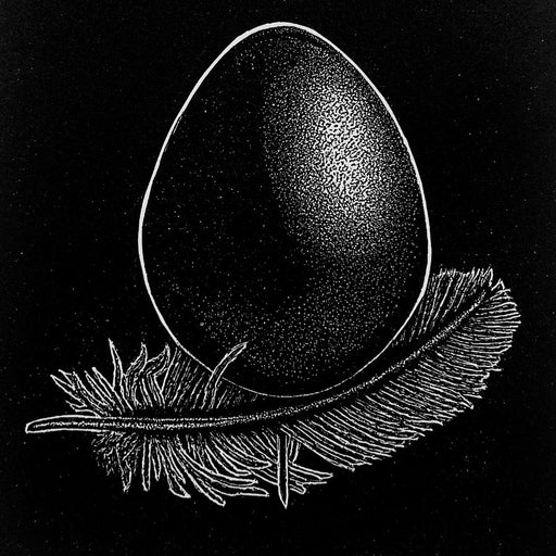 Dome by Ade Adesina, a Linocut print of an egg with a feather beneath it. | Limited edition art prints for sale at The Biscuit Factory Newcastle