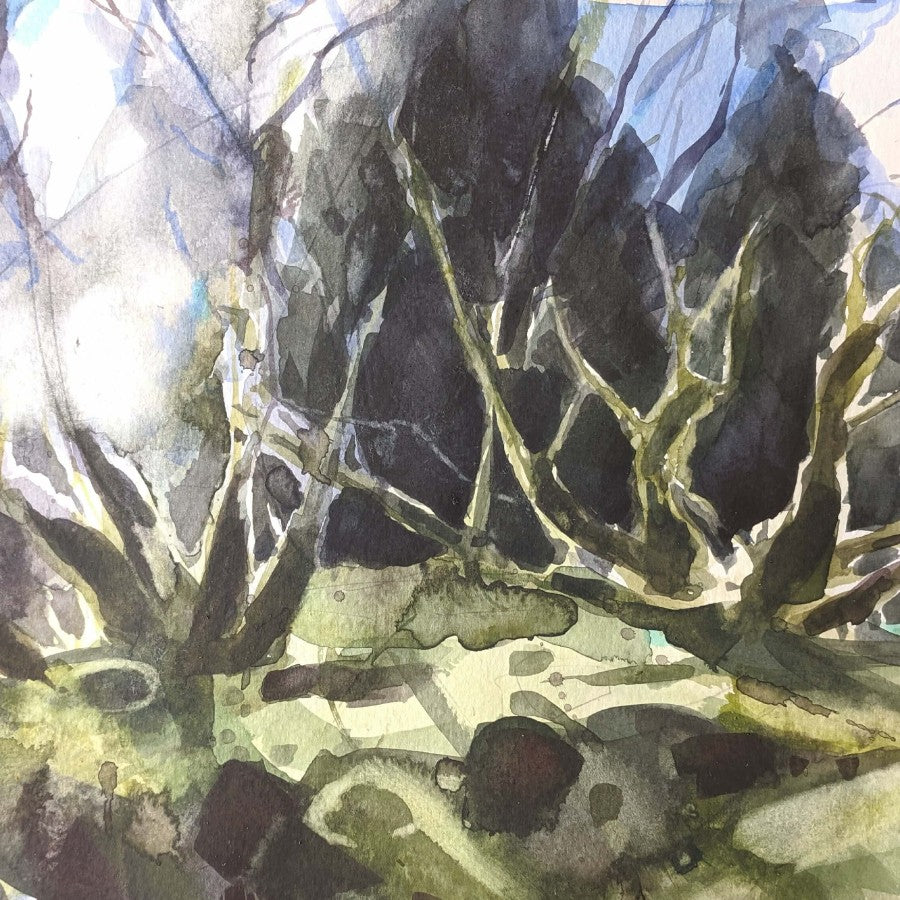 Fernworthy Forest by Hester Berry, an original watercolour painting of trees and foliage. | Original art for sale at The Biscuit Factory Newcastle