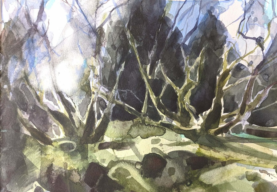 Fernworthy Forest by Hester Berry, an original watercolour painting of trees and foliage. | Original art for sale at The Biscuit Factory Newcastle