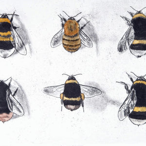 You added <b><u>Garden Bumblebees</u></b> to your cart.