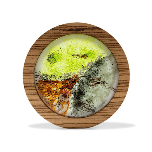 Buy 'Rockpool II', a handmade lighted piece made from glass and wood by Helen Grierson. Image shows a circular decorative glass sculpture coloured with orange, green and grey framed in dark naturally striped wood sat on a white background.