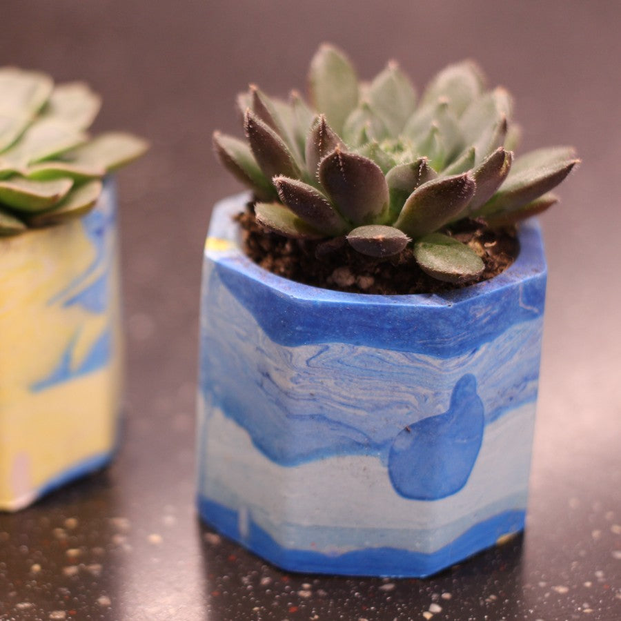 Jesmonite Plant Pot Workshop by Kim Searle - Darn It! Workshops. A collection of colourful jesmonite coasters. | Creative workshops at The Biscuit Factory Newcastle