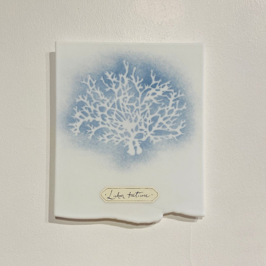 Blue and White Algae Plaques by glass artist Verity Pulford at The Biscuit Factory. Image shows a white glass plaque with an imprint of algae in white against blue colouring.