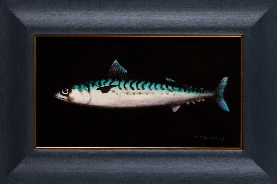 Mackerel XVII by Andrew Tyzack. An original oil on canvas painting of mackerel fish. Original Art available at The Biscuit Factory.