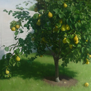 You added <b><u>Quince Tree</u></b> to your cart.