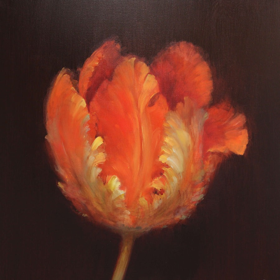 Rasta Parrot Tulip by Fletcher Prentice, an original painting of an orange 'Parrot Tulip' against a black background. | Original art for sale at The Biscuit Factory Newcastle