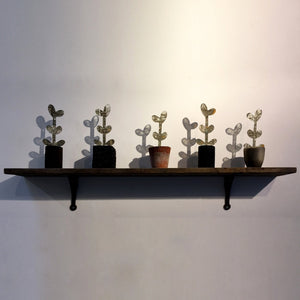 You added <b><u>Spring Seedlings Shelf</u></b> to your cart.