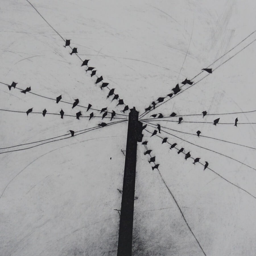 The Gathering by Sarah Morgan, an etching of birds sitting on a wire. | Original art for sale at The Biscuit Factory Newcastle