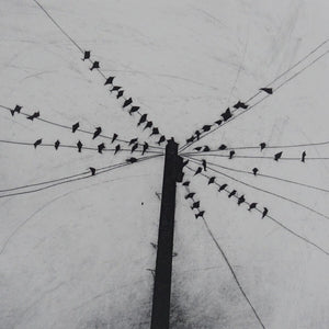 You added <b><u>The Gathering</u></b> to your cart.