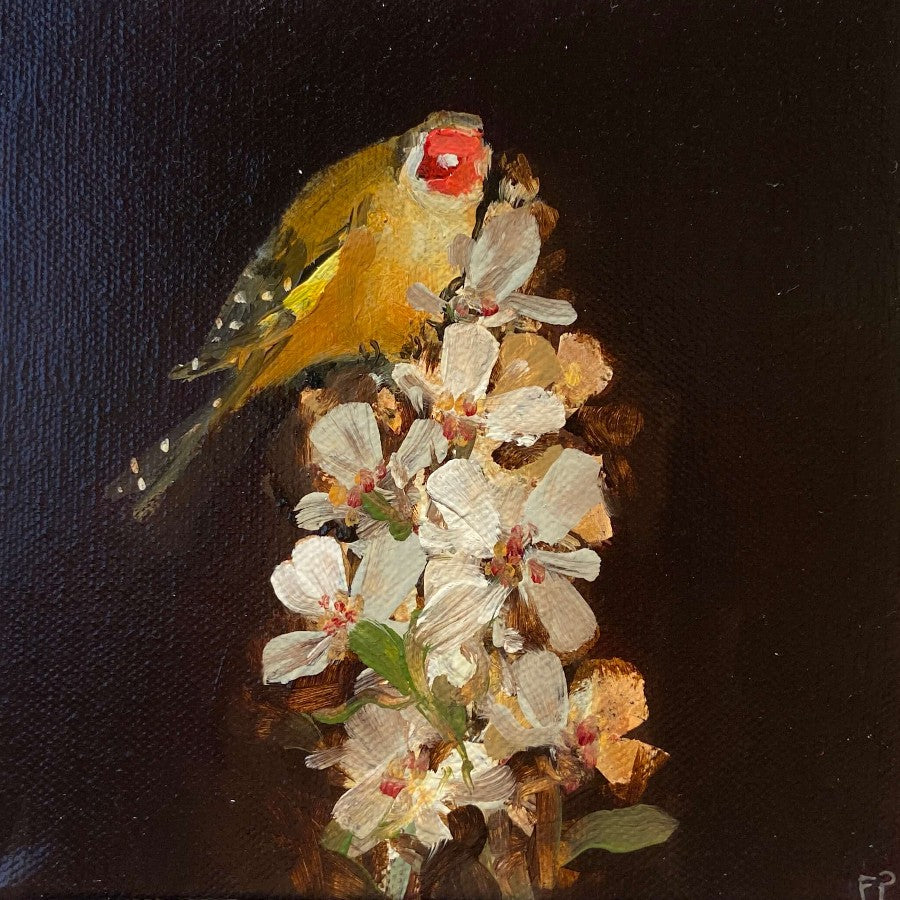 Wallflower Goldfinch by Fletcher Prentice, an original painting of a bird on a flower. I Original art for sale at The Biscuit Factory Newcastle