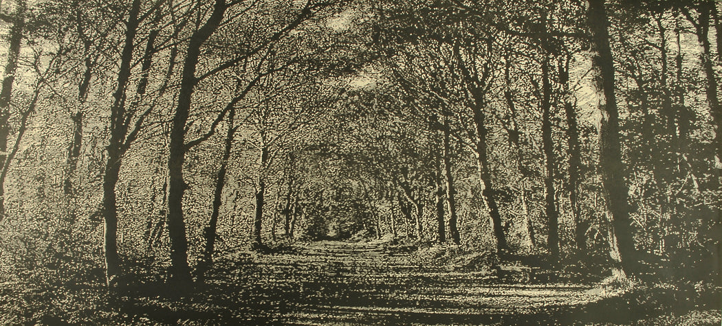 Buy 'Woodland Walk', an original mixed media artwork by Trevor Price. Image shows a monochrome print of a dense forest scene with a pathway leading into the centre of the print.