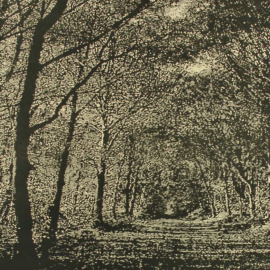 Buy 'Woodland Walk', an original mixed media artwork by Trevor Price. Image shows a detail shot of a larger monochrome print of a dense forest scene with a pathway leading into the centre of the print.