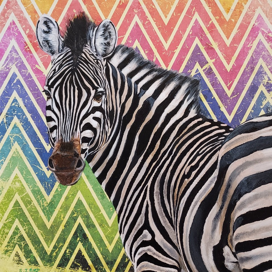Zig Zag Zebra
