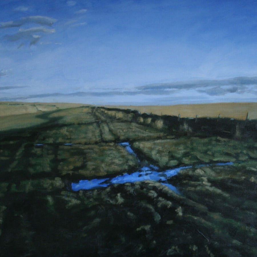 Beware the Bog by Pete Marsh | Contemporary paintings for sale at The Biscuit Factory Newcastle 
